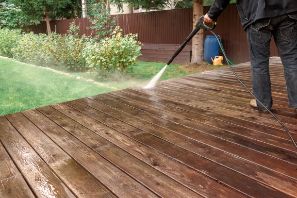 Best Roof Washing  in Pine Lawn, MO